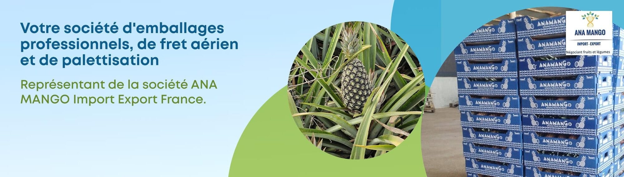 ANA MANGO Import Export France — représentation par SAFE BAG SERVICES